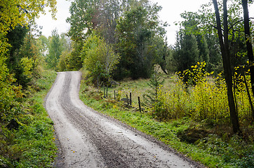 Image showing Winding gravel road in a deciduous forest by fall season