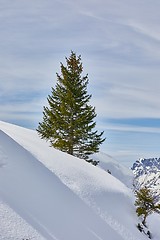 Image showing Skiing slopes, majestic Alpine landscape