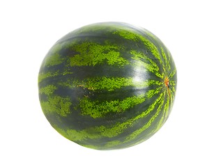 Image showing Watermelon a white background