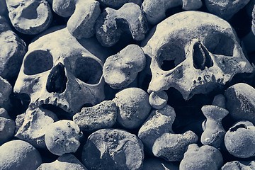 Image showing Skulls and bones in a wall