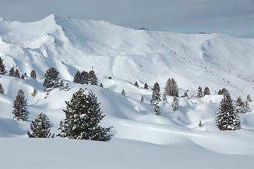 Image showing Skiing slopes, majestic Alpine landscape with trees