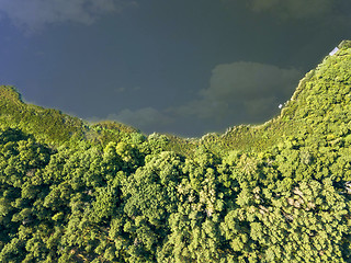 Image showing River with reflection of clouds and deciduous forest on a summer day. Aerial view from the drone