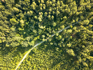 Image showing Top view on a sunny summer day on a dirt road through the foliage of the forest. Natural background. Aerial view from the drone