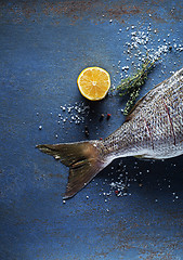 Image showing Fish fresh