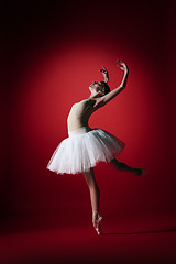 Image showing Ballerina. Young graceful female ballet dancer dancing at red studioskill. Beauty of classic ballet.