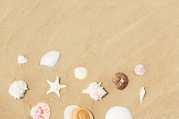 Image showing seashells on beach sand