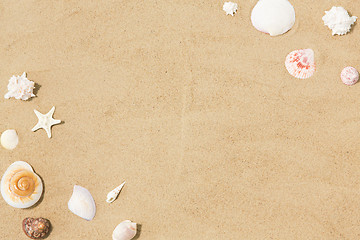 Image showing seashells on beach sand