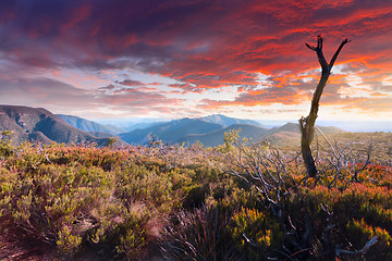 Image showing Scenic Mountain landscape