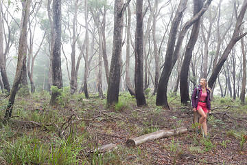 Image showing Positive woman hiking in forest of gums and eucalypts