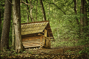 Image showing Small Barn in the Forest