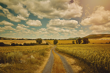 Image showing Country Road between Fields