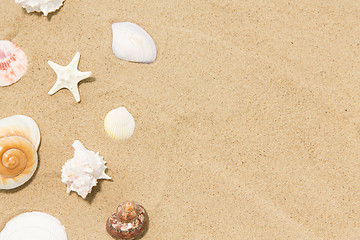 Image showing seashells on beach sand