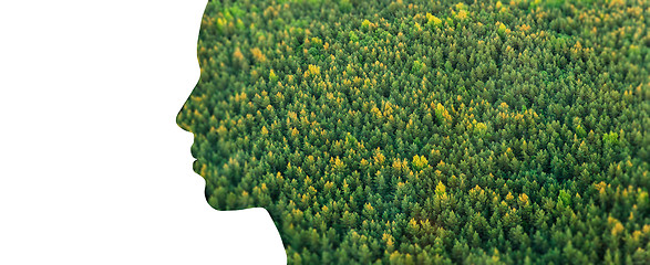 Image showing woman profile of green forest on white background