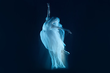 Image showing photo as art - a sensual and emotional dance of beautiful ballerina through the veil