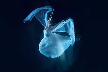 Image showing photo as art - a sensual and emotional dance of beautiful ballerina through the veil