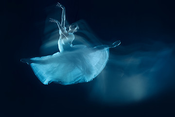 Image showing photo as art - a sensual and emotional dance of beautiful ballerina through the veil