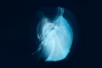 Image showing photo as art - a sensual and emotional dance of beautiful ballerina through the veil