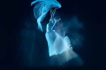 Image showing photo as art - a sensual and emotional dance of beautiful ballerina through the veil