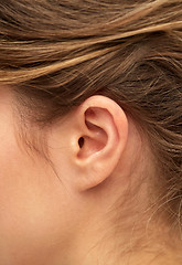 Image showing close up of young woman pointing finger to her ear