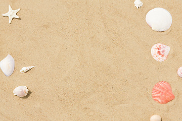 Image showing seashells on beach sand