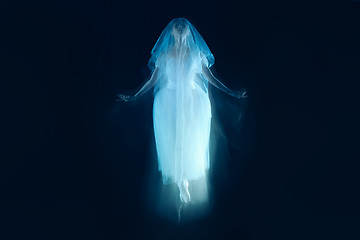 Image showing photo as art - a sensual and emotional dance of beautiful ballerina through the veil