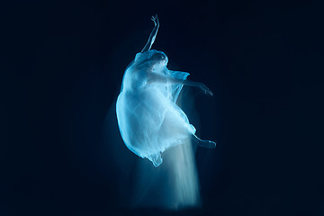 Image showing photo as art - a sensual and emotional dance of beautiful ballerina through the veil