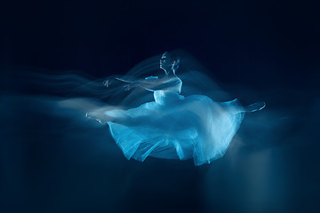 Image showing photo as art - a sensual and emotional dance of beautiful ballerina through the veil