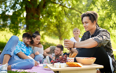 Image showing man using smartphone at picnic with friends