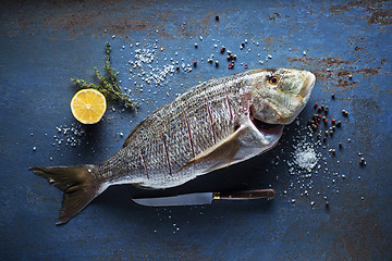 Image showing Fresh fish 