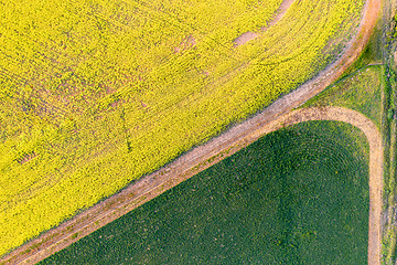 Image showing Farming fields green and gold patterns