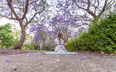 Image showing Woman sitting under a canopy of purple flowers