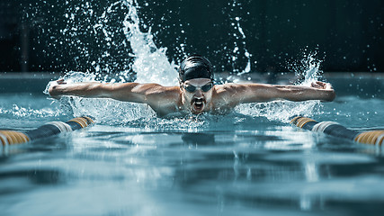 Image showing dynamic and fit swimmer in cap breathing performing the butterfly stroke