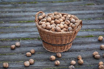 Image showing Walnuts in a basket