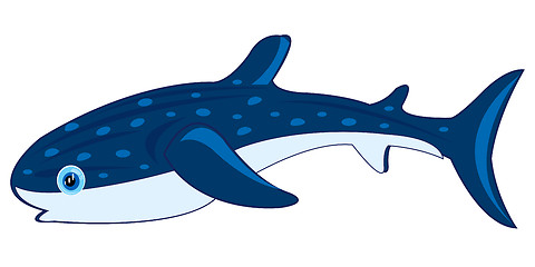 Image showing Big whale shark on white background is insulated