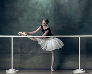 Image showing The classic ballerina posing at ballet barre