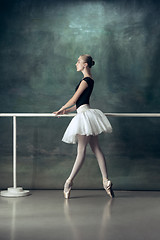 Image showing The classic ballerina posing at ballet barre