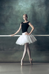 Image showing The classic ballerina posing at ballet barre