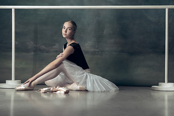 Image showing The classic ballerina posing at ballet barre