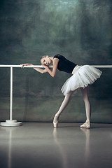 Image showing The classic ballerina posing at ballet barre