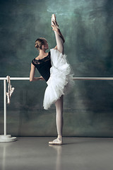 Image showing The classic ballerina posing at ballet barre