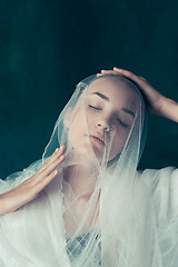 Image showing Beautiful bride looking over her veil