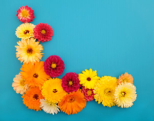 Image showing Floral mixture of calendula and dahlia blooms on teal