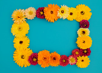 Image showing Rectangular frame of flowers on painted blue background