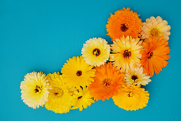 Image showing Flower arrangement of yellow and orange calendula on blue