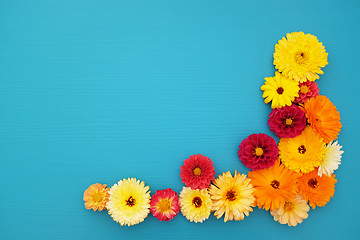 Image showing Orange calendulas and red dahlia blooms on blue