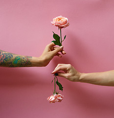 Image showing Two woman\'s hands with tattoo and without hold roses flowers on a pink background. Copy space. Card for Woman\'s and Mother\'s Day.