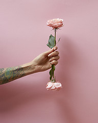 Image showing In a female hand with a tattoo. two pink roses presented on a pink background with copy space. St. Valentine\'s Day