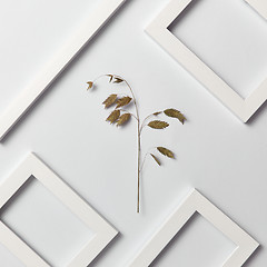 Image showing Creative pattern with natural herbal branch and empty frames on a light background.