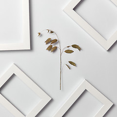 Image showing Herbal decorative pattern of leaf branch and empty frames on a light background.