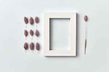 Image showing Froral pattern of dry pink flowers buds and empty frame on a light background.